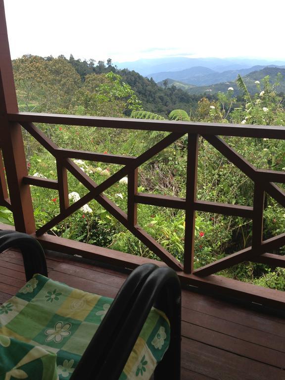 D'Villa Rina Ria Lodge, Kinabalu Park, Kundasang Bundu Tuhan Kamer foto
