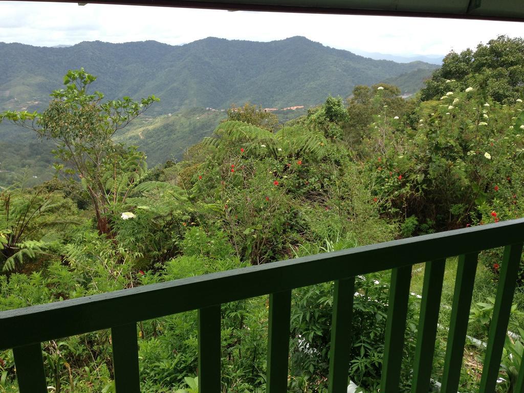 D'Villa Rina Ria Lodge, Kinabalu Park, Kundasang Bundu Tuhan Buitenkant foto