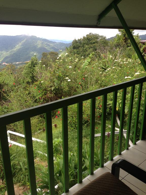 D'Villa Rina Ria Lodge, Kinabalu Park, Kundasang Bundu Tuhan Buitenkant foto