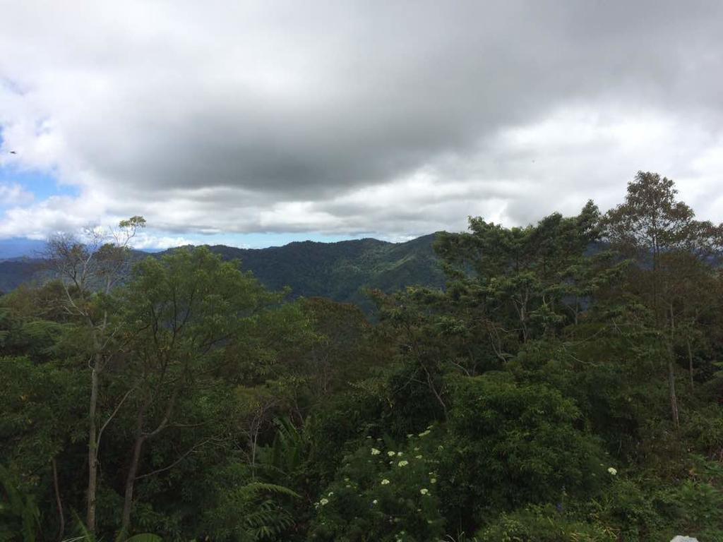 D'Villa Rina Ria Lodge, Kinabalu Park, Kundasang Bundu Tuhan Buitenkant foto