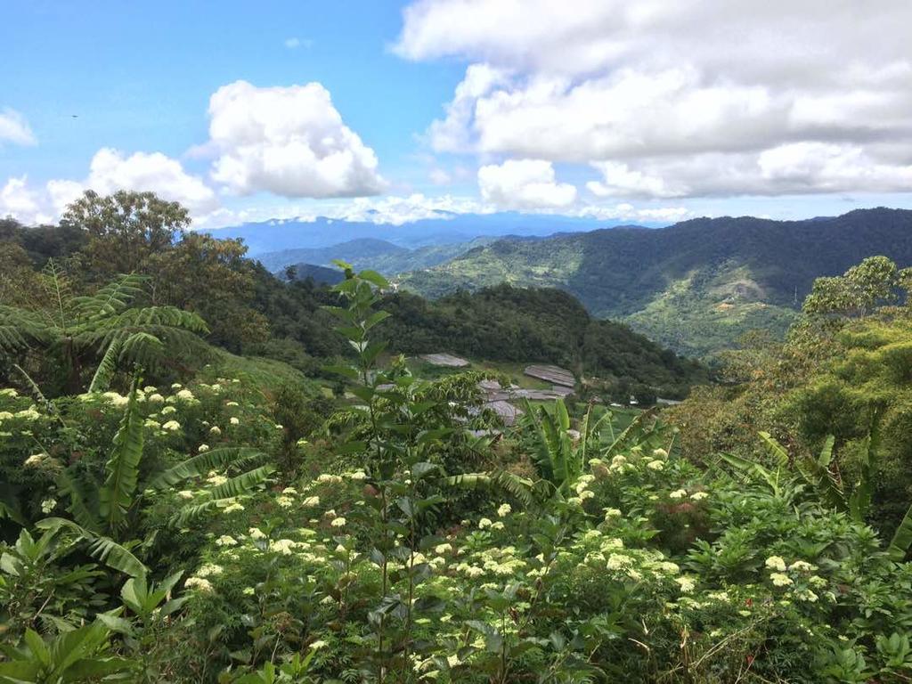 D'Villa Rina Ria Lodge, Kinabalu Park, Kundasang Bundu Tuhan Buitenkant foto