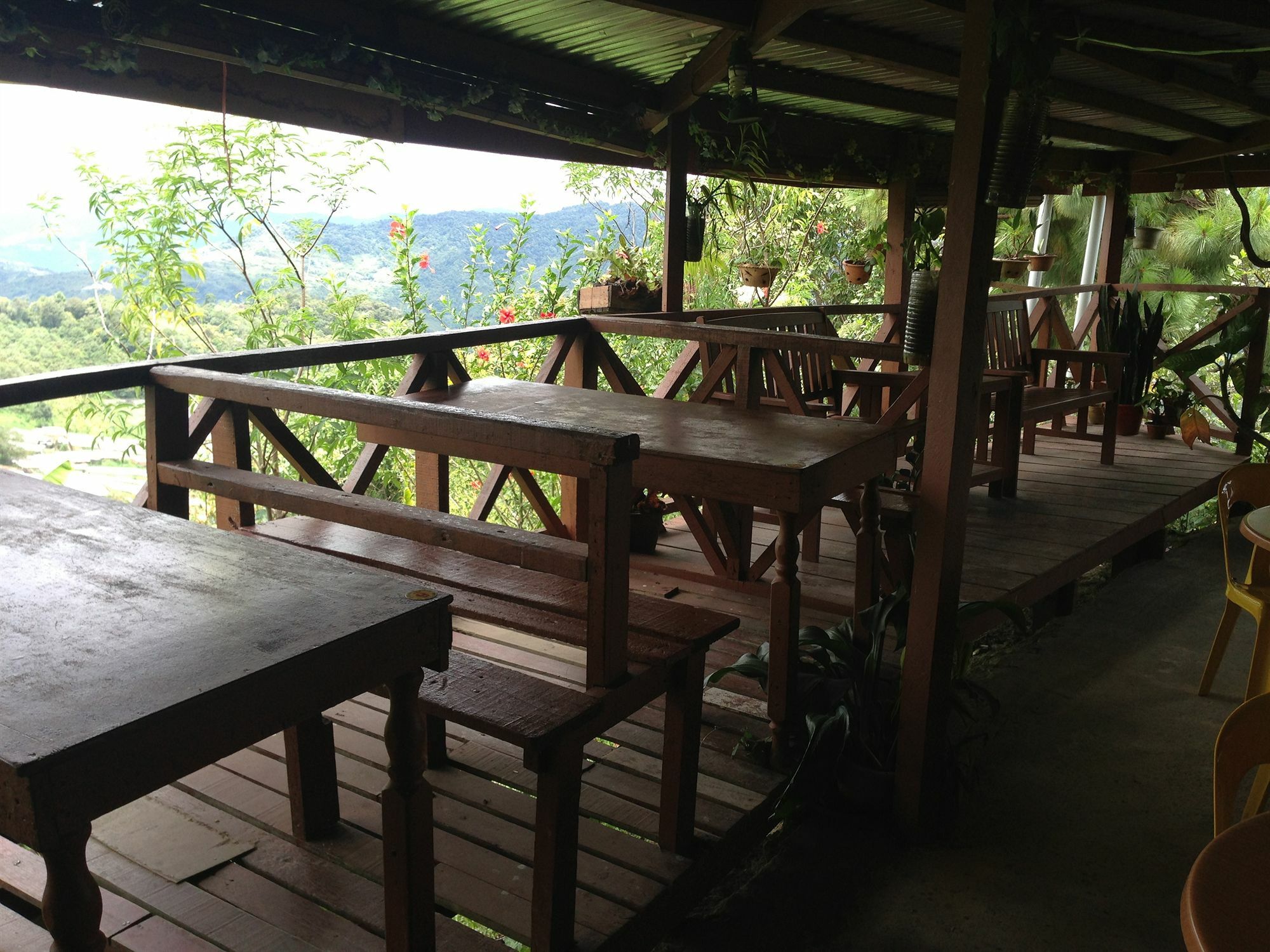 D'Villa Rina Ria Lodge, Kinabalu Park, Kundasang Bundu Tuhan Buitenkant foto